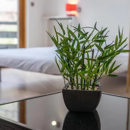 Apartament Studio With Balcony And Swimming Pool Ideally Located In The City Center *